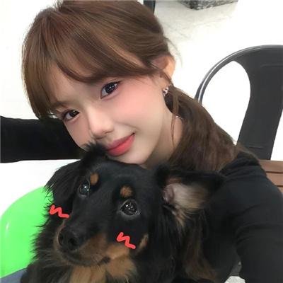 樱花革命:花开时的少女们